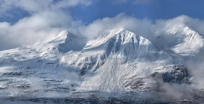 Shedding New Spring Snow