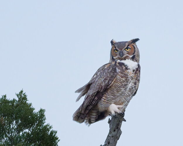 DSC_5099_DxO.jpg