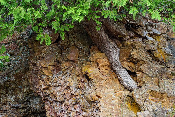 Kristen_SmithJune 15, 2021P1059794-HDR