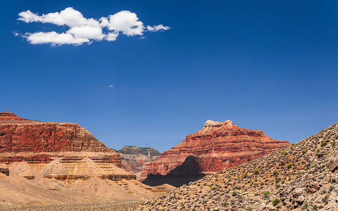 MatthewChathamPhotography1-NPN-10.jpg