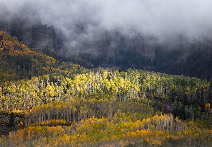 Clearing Fog on Cimarron Ridge.jpg