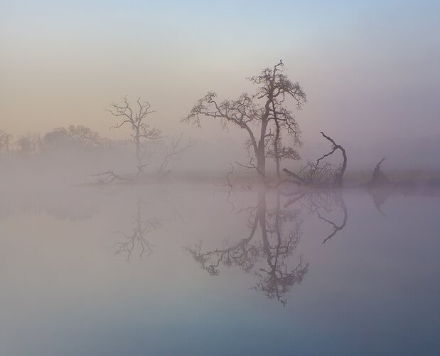 Laguna Flood #3