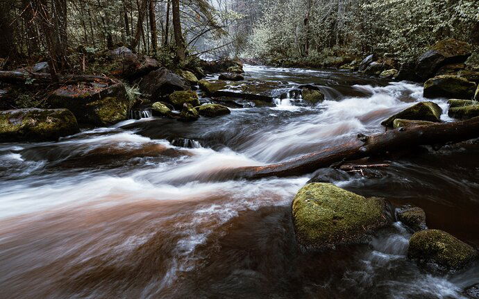 Kristen_SmithMay 19, 2021P1055763-2