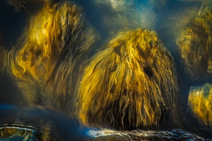 The Golden Hair of a Glacial Stream