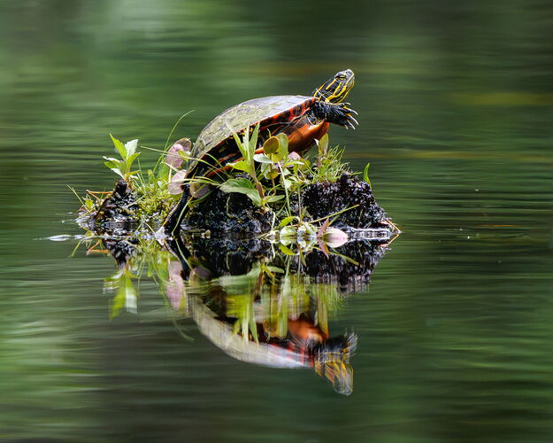 Kristen_SmithJune 17, 2025_1011114.jpg