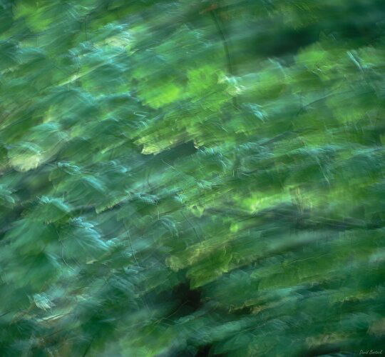 20220920_082110__DBP2064