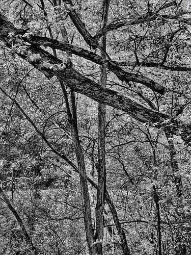 _DSF0143-2-IridientEdit-Edit-Edit_NPN