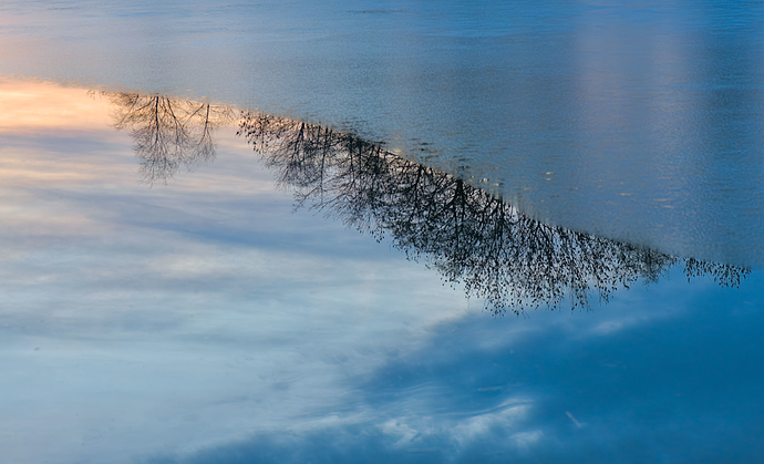 2026-01-14_GGS_9165-topaz2small