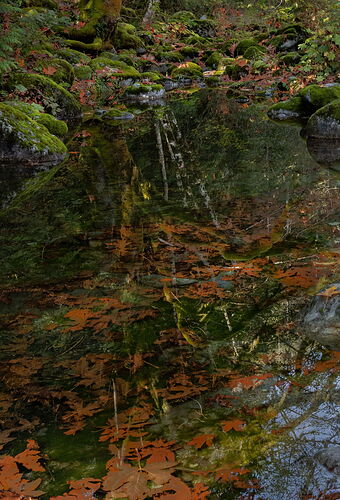 Quiet Disorientation-4