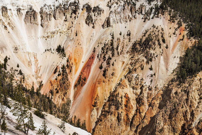 MSeaver_Canyon's Edge_ML Crop