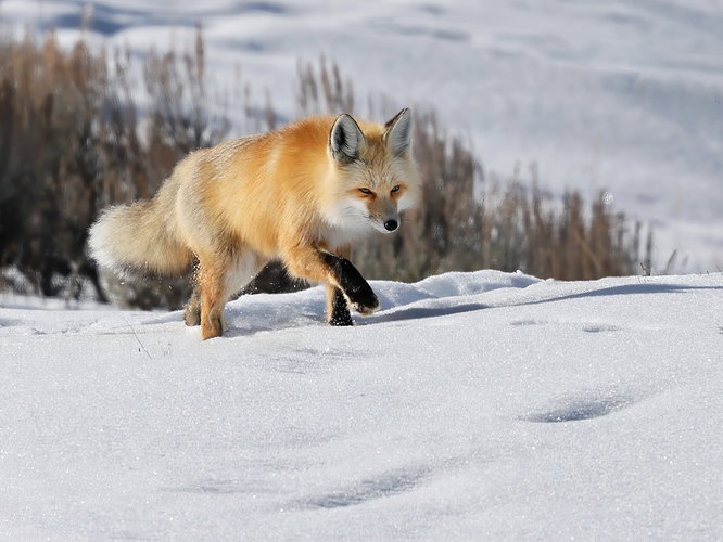 Original - IMG_5494.jpeg
