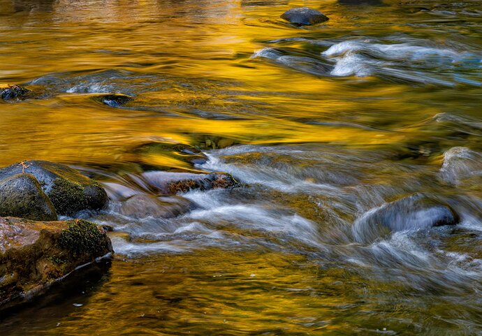 Salmon River Reflection