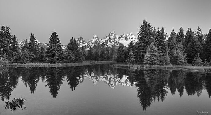 20080619_062903_WP1R2115_B&W.jpg
