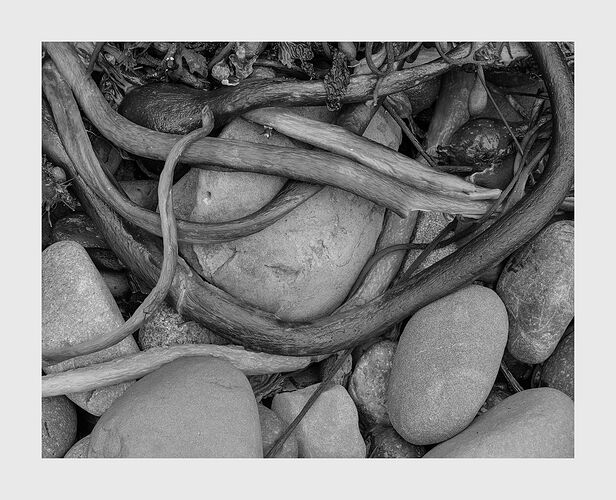 _DSF0397_0410_psd2
