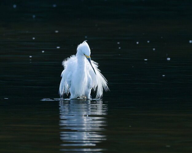 Original - _DSC1153_DxO.jpg