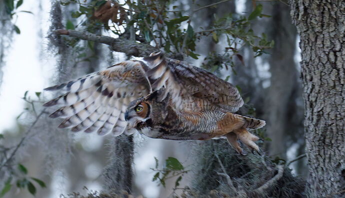 DSC_5058_DxO.jpg