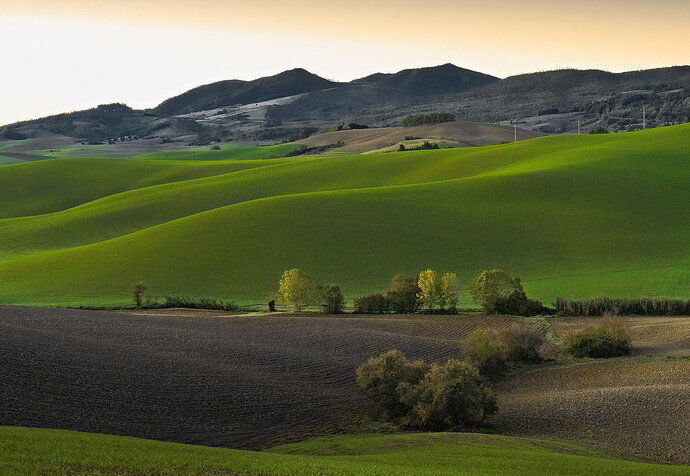 Colline-pisane-prima-dell'alba.jpg