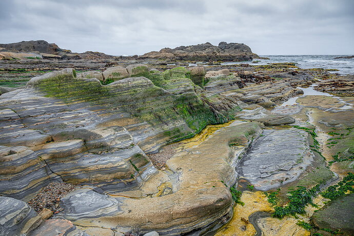 FGisin_NPN_Tidal_Treasures.jpg