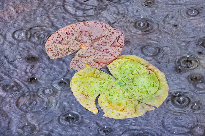 Raining Hard.jpg