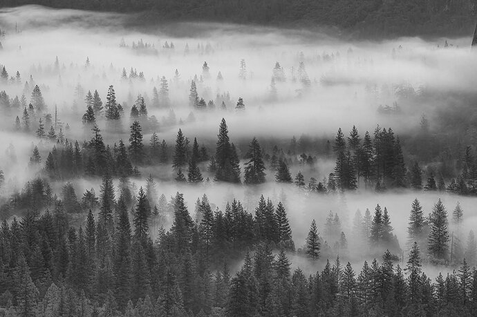 20260506-_Z081363-BW.jpg