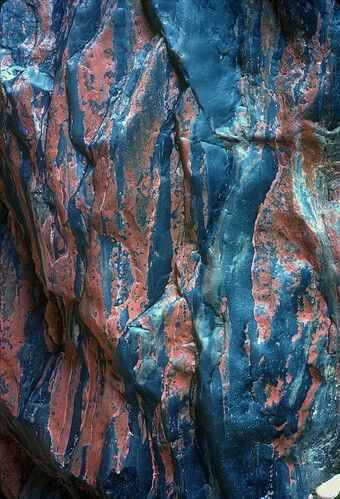 2026-02-22-0011 copy.jpg