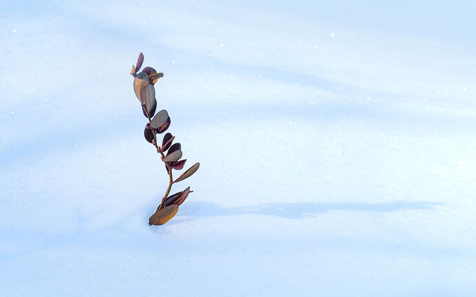 Kristen_SmithJanuary 31, 2026_1013057.jpg