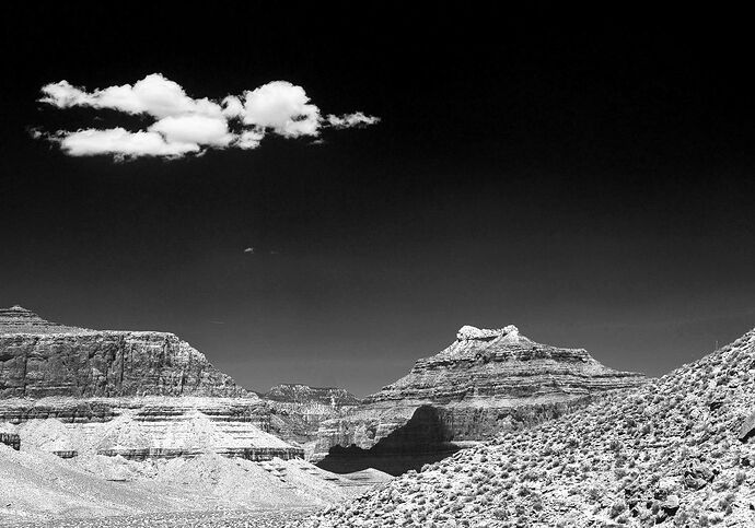 BW-MatthewChathamPhotography1-NPN-10