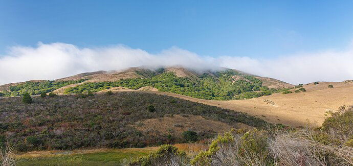 On the way to Point Reyes