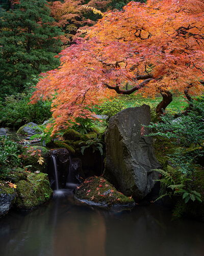 IMG5DIIIPost10k_4041NPNWebLrg-NPNWebLrg 4.9mb-6