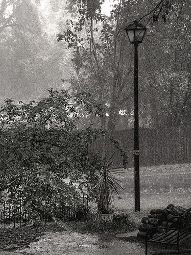 "New Rain".jpeg