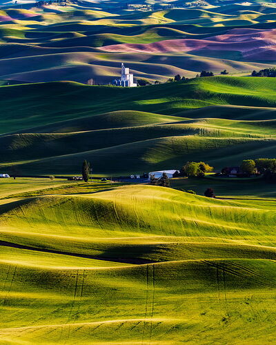 Palouse Shadows.jpg