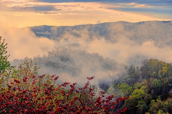 _F221974-1 Ariel Faith Fog Image - Processing Challenge - Warmed Fog-Mist