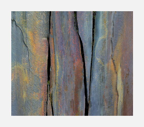 _DSF1994_2051_psd3_1400px