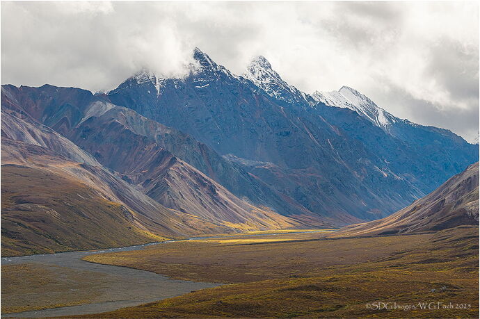 Rawboned-7987A772-25-Edit