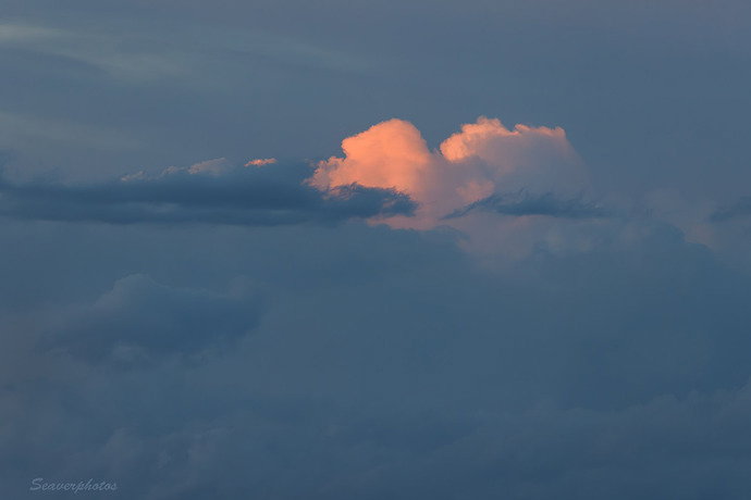 Last Light