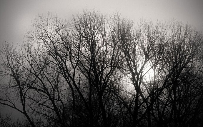 Morning Breaking In.jpg