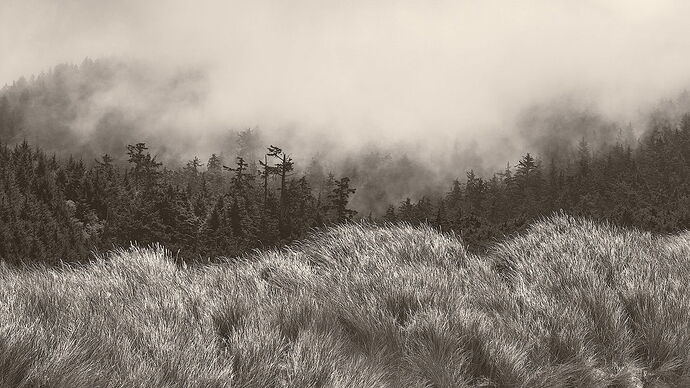 OR_WA_080125_144