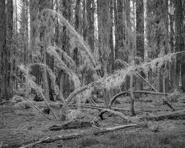TheTormented_Lassen_CA_July2025_DARK.jpg