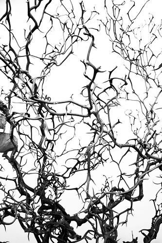 untitled-14NPNWebLrg-NPNWebLrg 4.9mb-9