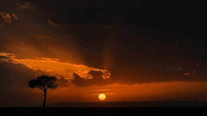 sunrise masai mara