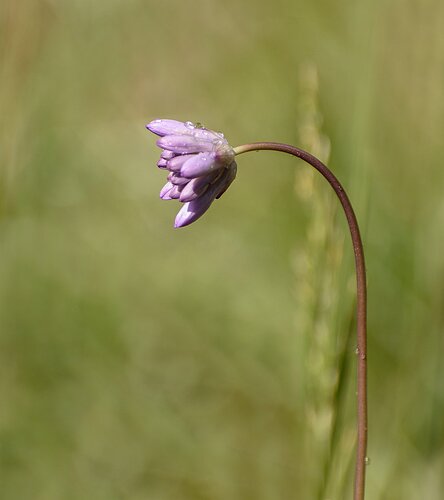 91AD55E5-1111-4E44-9558-D7E9A872C346-DM