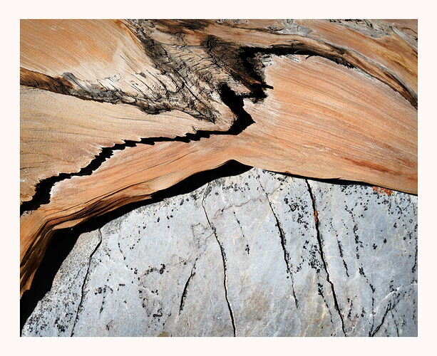 Bristlecone & Dolomite