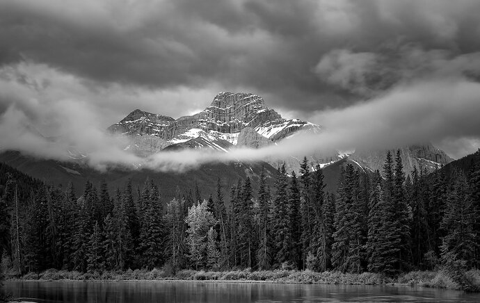 TN2025-_MG_7436-Edit- NPN copyd