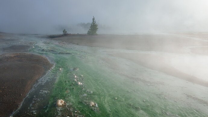 Yellowstone_092423_5216.jpg