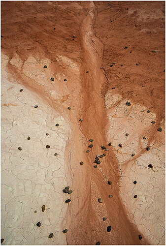 Mud Trees