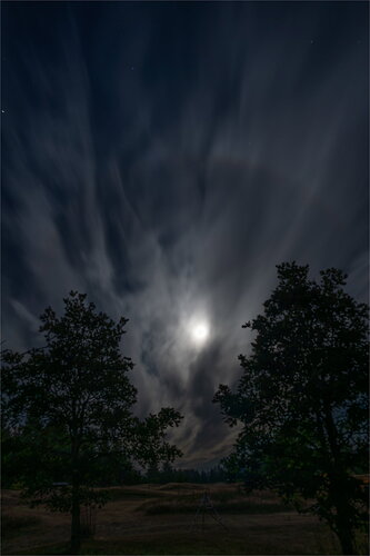 Original processing, uncropped