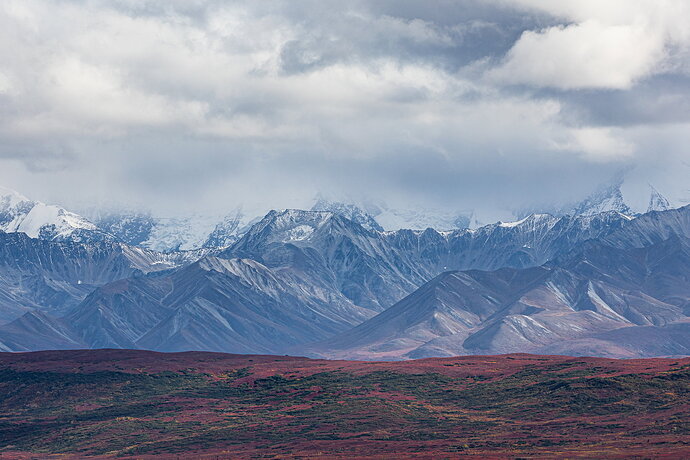 Revision 1 - IMG5DMarkIV_1461NPN3MB-NPN3Meg-4.jpg