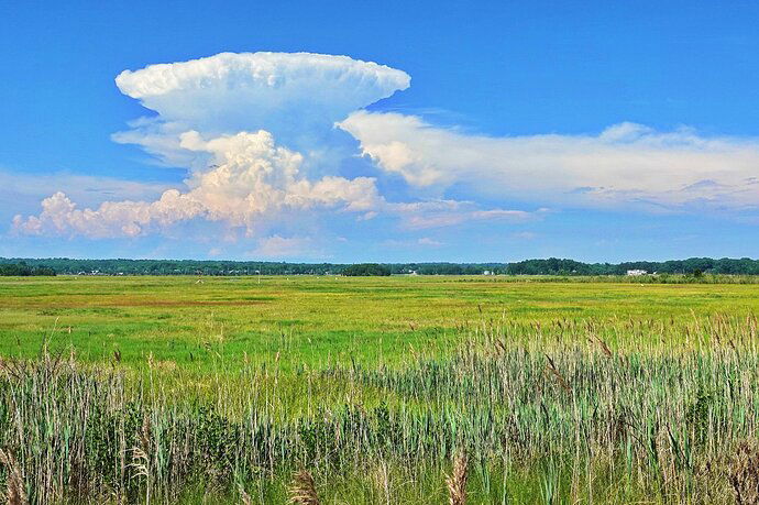 The King of Clouds