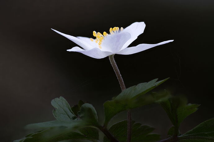 2026-03-07 23-08-44 (B,R8,S4).jpg