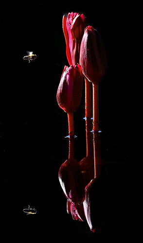 Reflecting on a Clear Goal.jpg